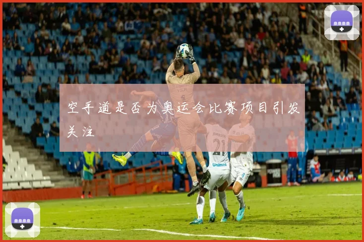 空手道是否为奥运会比赛项目引发关注