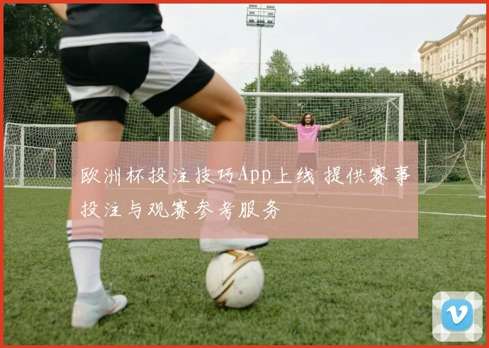 欧洲杯投注技巧App上线 提供赛事投注与观赛参考服务