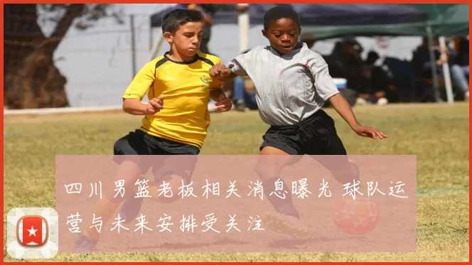 四川男篮老板相关消息曝光 球队运营与未来安排受关注