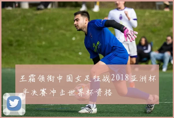 王霜领衔中国女足征战2018亚洲杯 半决赛冲击世界杯资格