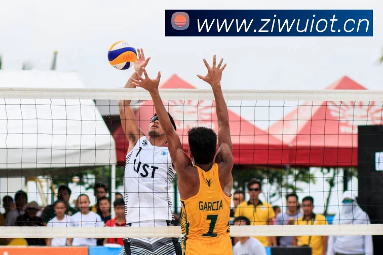 App Interface Preview